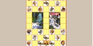 Bạn biến khái niệm cờ thú là gì?